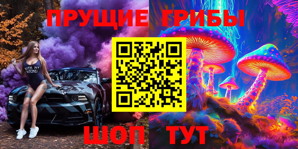 Псилоцибиновые грибы Psilocybe  Вход с VPN  где найти   Осинники 