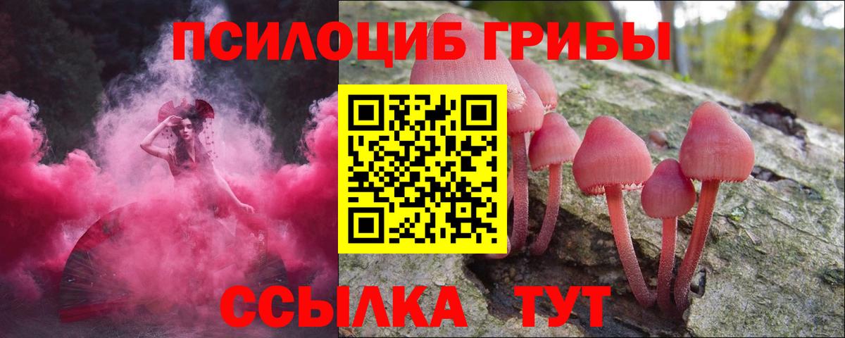 Псилоцибиновые грибы мухоморы Осинники
