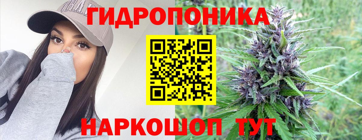 Бошки марихуана AK-47  Вход с VPN  Осинники  Шишки марихуана Amnesia  МАРИХУАНА тримм  Шишки марихуана Amnesia 